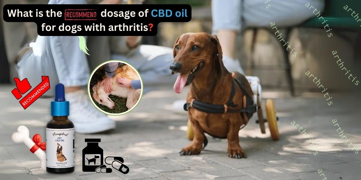 buy CBD oil for pets Online